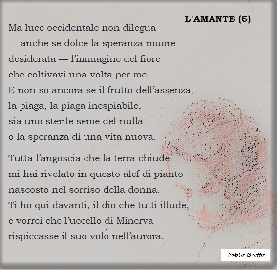 AMANTE 5